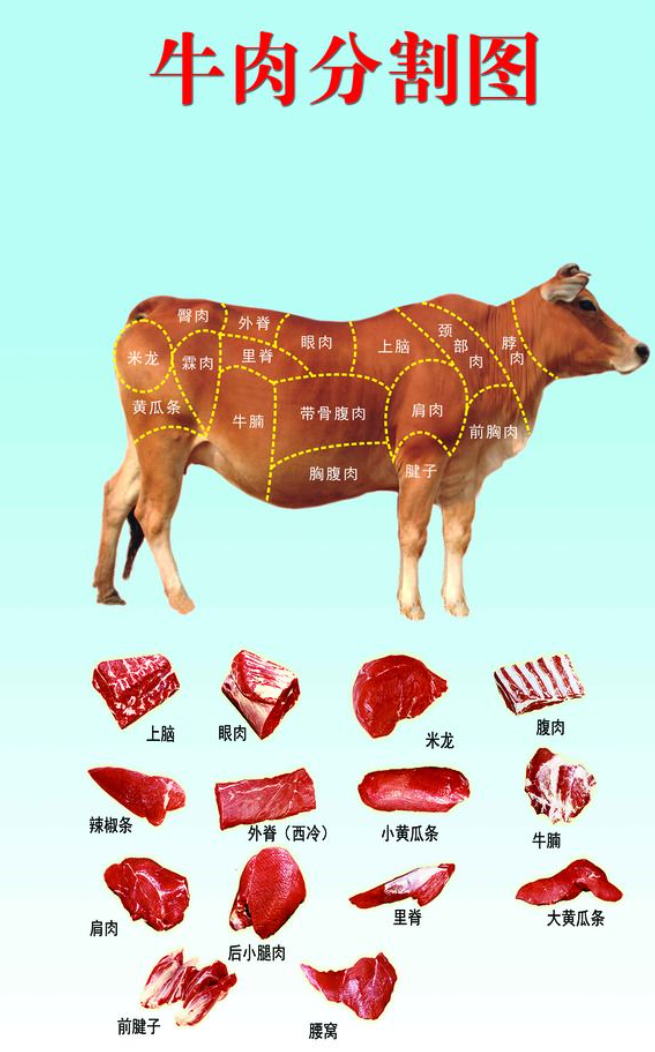 我一直不懂前jiang肉是什么肉