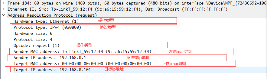 ARP报文结构解析