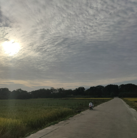 10.24，自行车洲里去横龙路上拍摄